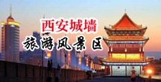 肏屌中国陕西-西安城墙旅游风景区